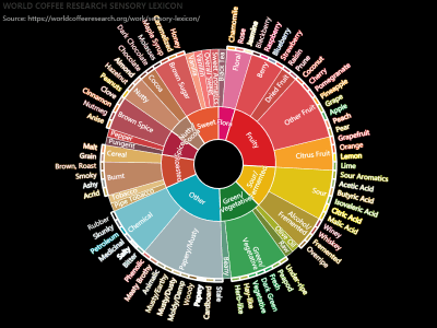 WORLD COFFEE RESEARCH SENSORY LEXICON